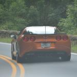 OTRA_2017_CN_0175 (August 28, 2017)